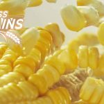 Kellogg’s Kenya English