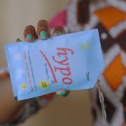 Hypo Bleach - ENG